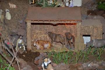 Encendido de la decoración navideña e inauguración del belén canario de Los Llanos  (Foto Francisco Javier Santana)
